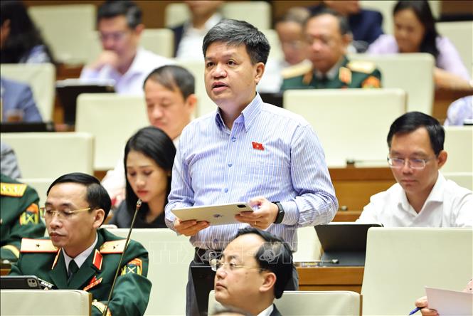 Đại biểu Quốc hội thành phố Hà Nội Tạ Đình Thi phát biểu. Ảnh: Minh Đức - TTXVN