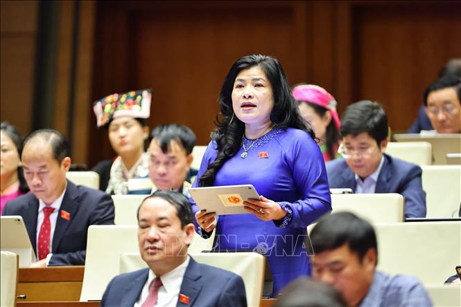 Đại biểu Quốc hội tỉnh Khánh Hoà Đàng Thị Mỹ Hương phát biểu. Ảnh: Minh Đức - TTXVN