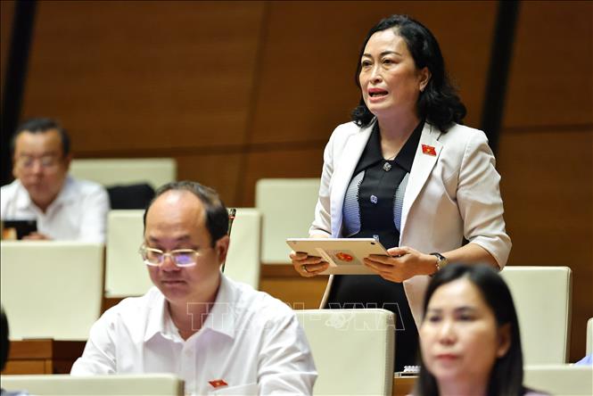 Đại biểu Quốc hội tỉnh Cà Mau Trần Thị Hoa Ry phát biểu. Ảnh: Minh Đức - TTXVN