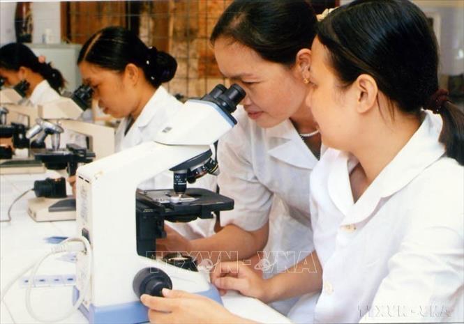 Các kỹ thuật viên xét nghiệm của Trung tâm phòng chống sốt rét Nghệ An trao đổi kinh nghiệm phát hiện ký sinh trùng sốt rét. Ảnh: Hữu Oai - TTXVN