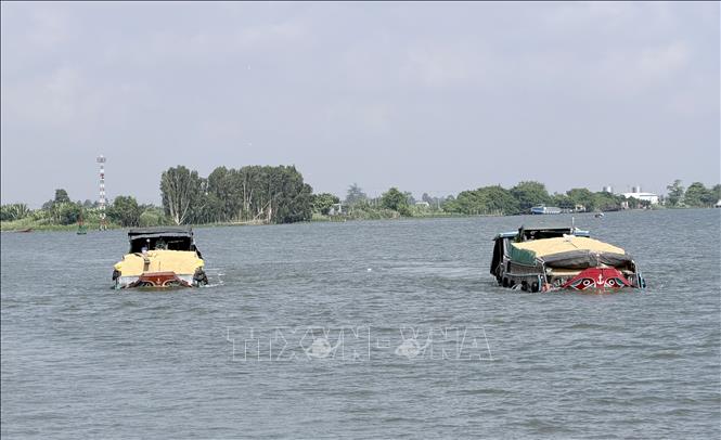 Lúa sau thu hoạch được vận chuyển bằng tàu về nhà máy chế biến. Ảnh: Thanh Sang-TTXVN