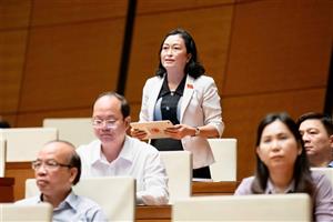 Đại biểu Quốc hội đề nghị giám sát tối cao nội dung thực hiện sắp xếp bộ máy