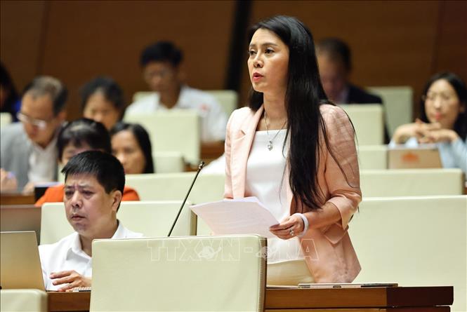 Đại biểu Quốc hội tỉnh Khánh Hoà Đàng Thị Mỹ Hương phát biểu. Ảnh: Minh Đức - TTXVN