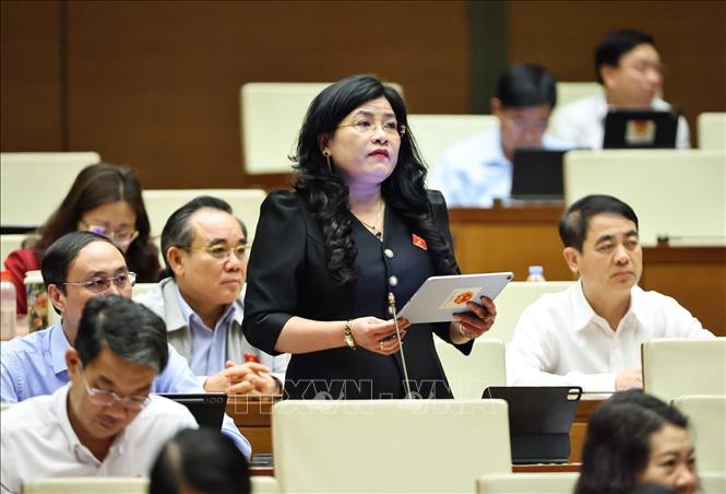 Đại biểu Quốc hội tỉnh Tuyên Quang Vương Thị Hương phát biểu. Ảnh: Minh Đức - TTXVN