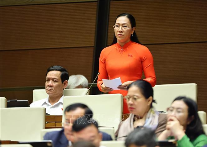 Đại biểu Quốc hội tỉnh Vĩnh Long Nguyễn Thị Yến Nhi phát biểu. Ảnh: Minh Đức - TTXVN