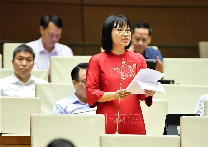Đại biểu Quốc hội thành phố Hải Phòng Nguyễn Thị Việt Nga phát biểu. Ảnh: Minh Đức - TTXVN