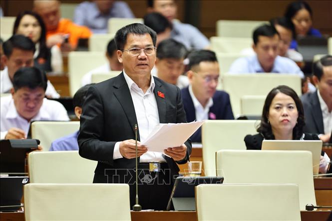 Đại biểu Quốc hội tỉnh Lâm Đồng Dương Khắc Mai phát biểu. Ảnh: Minh Đức - TTXVN