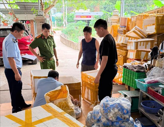 Đội QLTT số 3 tiến hành niêm phong toàn bộ tang vật vi phạm. Ảnh: TTXVN phát 