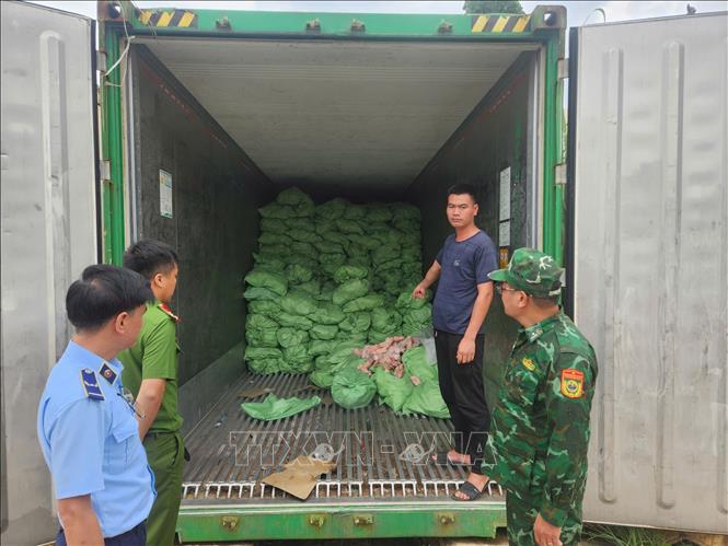 Khám kho lạnh chứa 12.000 kg chân lợn không rõ nguồn gốc, xuất xứ.  Ảnh: TTXVN phát 