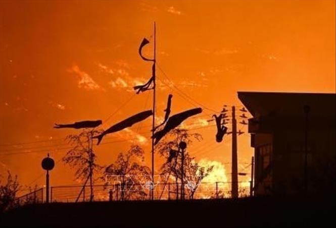 Lửa cháy rừng bốc ngùn ngụt tại vùng núi Otsuchi, tỉnh Iwate, Nhật Bản ngày 22/4/2026. Ảnh: Kyodo/TTXVN