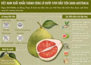 Việt Nam xuất khẩu thành công lô bưởi tươi đầu tiên sang Australia
