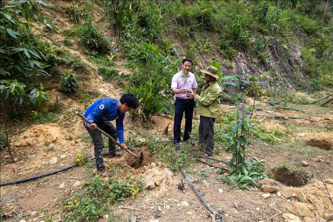 Funding from Vietnam Social Policy Bank encourages locals to invest and develop businesses. VNA Photo: Xuân Quý