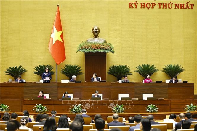 Phó Chủ tịch Quốc hội Nguyễn Thị Hồng phát biểu. Ảnh: Doãn Tấn - TTXVN