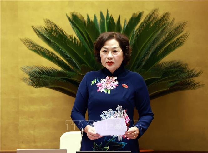 Phó Chủ tịch Quốc hội Nguyễn Thị Hồng phát biểu. Ảnh: Tuấn Anh - TTXVN