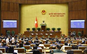 Quốc hội biểu quyết thông qua các nghị quyết và luật