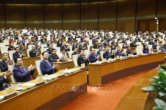 Tổng Bí thư, Chủ tịch nước Tô Lâm cùng các đồng chí lãnh đạo, nguyên lãnh đạo Đảng, Nhà nước dự. Ảnh: Doãn Tấn - TTXVN