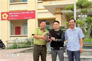 Quảng Trị tiếp nhận một cá thể tê tê quý hiếm từ người dân