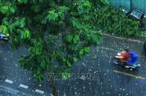 Thời tiết dịp Giỗ Tổ Hùng Vương: Bắc Bộ mưa dông, Nam Bộ nắng nóng