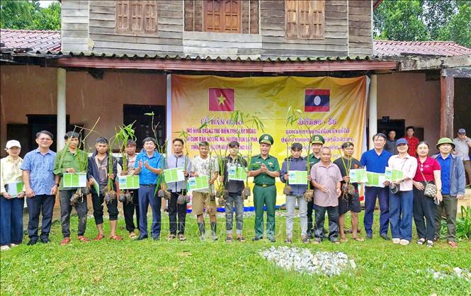 Những mô hình sinh kế bền vững hỗ trợ nhân dân hai bên biên giới Việt - Lào. Ảnh: TTXVN phát