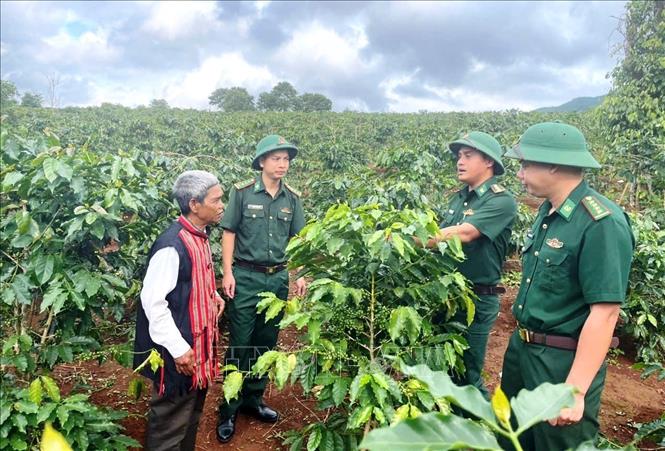 Cán bộ, chiến sĩ Đồn Biên phòng Hướng Phùng (Bộ đội Biên phòng tỉnh Quảng Trị) đồng hành cùng bà con nhân dân phát triển kinh tế - xã hội, xây dựng quê hương phát triển. Ảnh: Võ Dung - TTXVN 