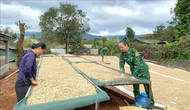 Gần 1 năm qua, Bộ đội Biên phòng tỉnh Quảng Trị đã tham gia 15.000 ngày công lao động và huy động hơn 54 tỷ đồng hỗ trợ nhân dân trên các tuyến biên giới của tỉnh. Ảnh: Võ Dung - TTXVN 