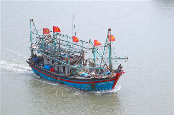 Tàu công suất lớn khai thác hải sản bằng phương thức lưới vây của ngư dân   đi qua cửa biển vào luồng tuyến Lạch Quèn. Ảnh: Xuân Tiến - TTXVN 