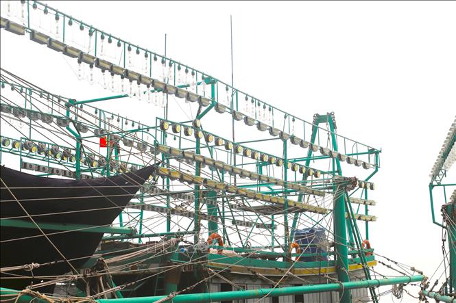 Trước đây, các tàu đánh bắt xa bờ thường sử dụng đèn cao áp với công suất lớn để dẫn dụ cá. Tuy nhiên, nhược điểm của loại đèn này là tiêu thụ điện năng cực lớn, tỏa nhiệt cao, bị tán xạ và tuổi thọ thấp nên ngư dân đã chuyển sang đèn Led để giảm chi phí nhiên liệu, tăng hiệu quả đánh bắt. Ảnh: Xuân Tiến - TTXVN 