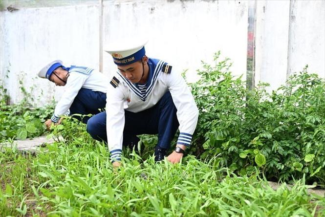 Chiến sĩ trên đảo Trường Sa thăm vườn rau xanh do kiều bào trao tặng. Ảnh: TTXVN phát