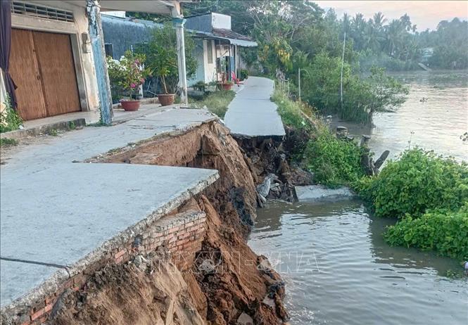 Điểm sạt lở xảy ra tại ấp Phú Tây, nằm ven sông Hậu, có chiều dài 25m, sâu vào đất liền 10m. Ảnh: Thanh Liêm - TTXVN
