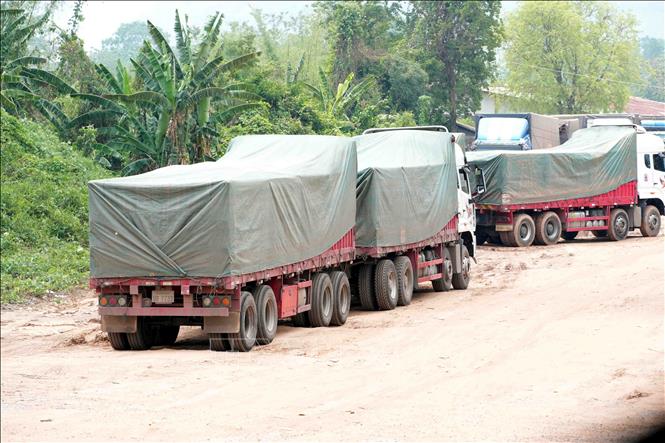 Quy mô tập kết đường kính Thái Lan tại khu vực gần cửa khẩu quốc tế Lao Bảo (Quảng Trị)ngày càng tăng mạnh với lượng hàng tồn thường xuyên từ 3.000–5.000 tấn. Ảnh: Tá Chuyên – TTXVN