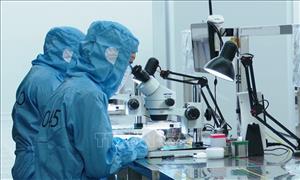 Kiện toàn Ban Chỉ đạo phát triển khoa học, công nghệ, đổi mới sáng tạo, chuyển đổi số và Đề án 06