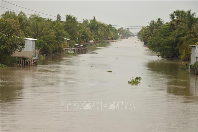 Theo nhận định của Đài Khí tượng thành phố Cần Thơ, độ mặn cao nhất tại các trạm có thể xuất hiện cuối tháng 4 đầu tháng 5/2026 xâm nhập mặn sâu nhất ở mức xấp xỉ và cao hơn trung bình nhiều năm. Ảnh: Thu Hiền - TTXVN 