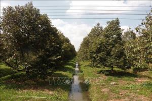 Cần Thơ chủ động ứng phó nguy cơ hạn hán, xâm nhập mặn