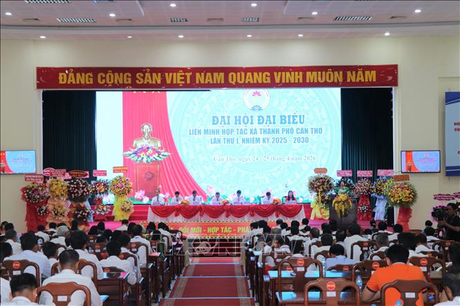 Quang cảnh Đại hội Liên minh Hợp tác xã thành phố Cần Thơ nhiệm kỳ 2025 - 2030. Ảnh: Thu Hiền - TTXVN