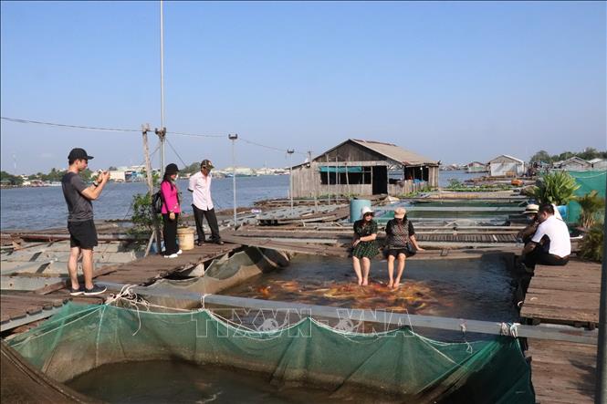 Thành phố phấn đấu đến năm 2030 có trên 1.000 hợp tác xã và 4.500 tổ hợp tác hoạt động. Ảnh: Thu Hiền - TTXVN