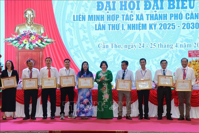 Phó Trưởng Ban Chỉ đạo quốc gia về kinh tế tập thể, Chủ tịch Liên minh Hợp tác xã Việt Nam Cao Xuân Thu Vân tặng Bằng khen cho các tập thể. Ảnh: Thu Hiền - TTXVN
