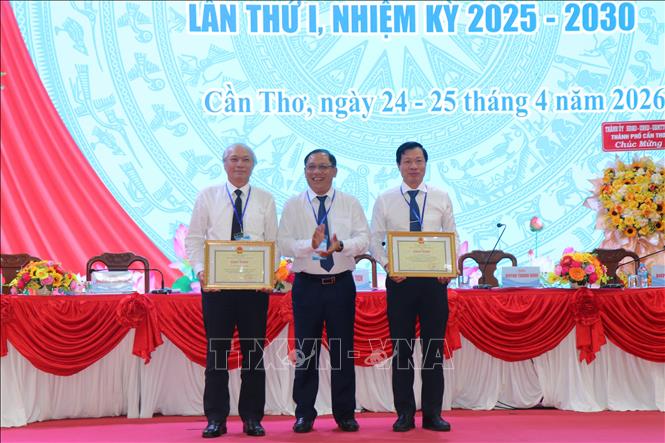 Phó Chủ tịch UBND thành phố Cần Thơ Trần Chí Hùng tặng Bằng khen của Chủ tịch UBND thành phố cho các cá nhân đã có những đóng góp cho sự phát triển Liên minh Hợp tác xã. Ảnh: Thu Hiền - TTXVN