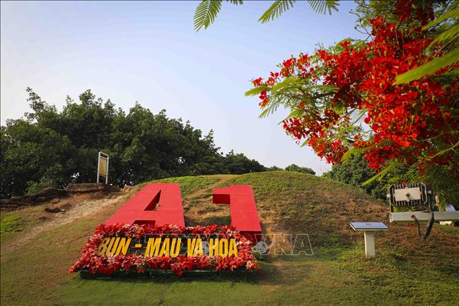 Tại điểm di tích lịch sử Đồi A1, sắc đỏ của hoa phượng như gợi nhắc về những năm tháng chiến đấu oanh liệt. Ảnh: Xuân Tư - TTXVN