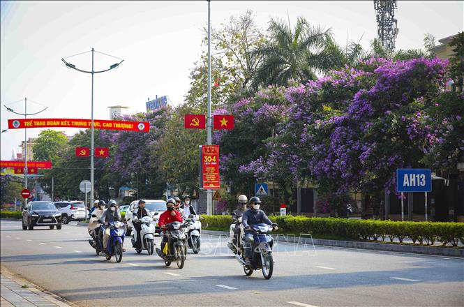 Sắc tím bằng lăng phủ kín tuyến phố trung tâm, mang đến vẻ dịu dàng, lãng mạn cho phố núi Điện Biên. Ảnh: Xuân Tư - TTXVN