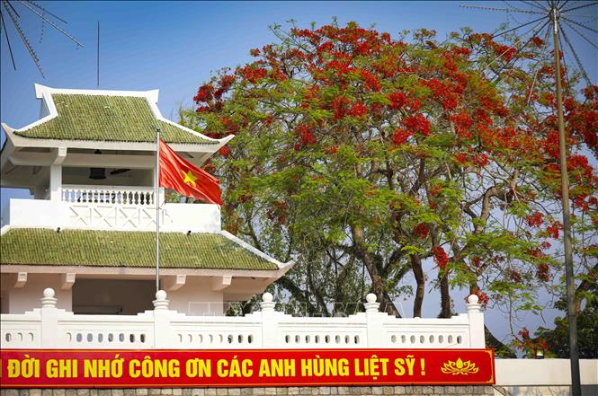 Hoa phượng bung nở trong khuôn viên Nghĩa trang Liệt sĩ Quốc gia A1. Ảnh: Xuân Tư - TTXVN