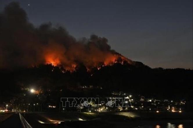 Lửa cháy rừng bốc dữ dội tại thị trấn Otsuchi, tỉnh Iwate, Nhật Bản ngày 24/4/2026. Ảnh: Kyodo/TTXVN