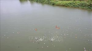 Hai học sinh Nghệ An lao xuống sông cứu bạn nữ thoát chết