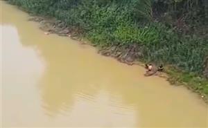 Hai học sinh Nghệ An lao xuống sông cứu bạn nữ thoát chết