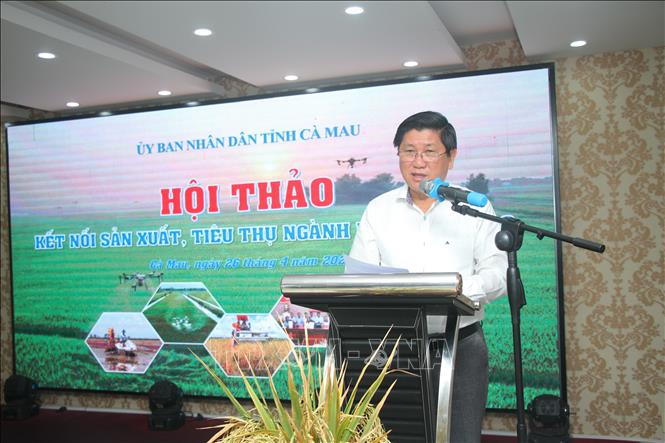 Phó Chủ tịch UBND tỉnh Cà Mau Lê Văn Sử phát biểu tại hội thảo. Ảnh: Chanh Đa - TTXVN