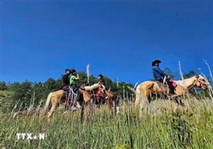 Lượng khách đến Tuyên Quang tăng mạnh dịp Giỗ tổ Hùng Vương