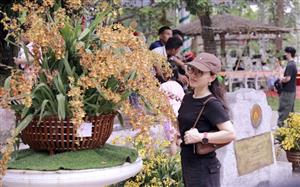 Muôn sắc lan hội tụ, níu chân du khách về Đền Hùng