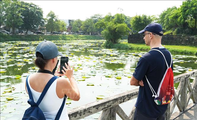 International tourists enjoy the view of white lotus flowers at Tinh Tam lake. VNA Photo: Nguyên Lý 