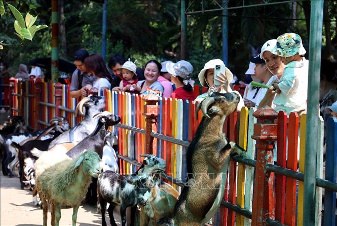 Khu Du lịch Văn hóa Suối Tiên thu hút đông đảo các gia đình có trẻ nhỏ nhân dịp Giỗ Tổ Hùng Vương Bính Ngọ 2026. Ảnh: Thanh Vũ-TTXVN
