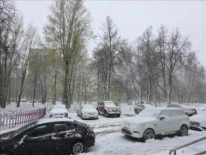 Tuyết tiếp tục rơi mạnh trong sáng ngày 27/4 bao phủ các tuyến phố. Ảnh: Trần Hải - PV TTXVN tại Nga 