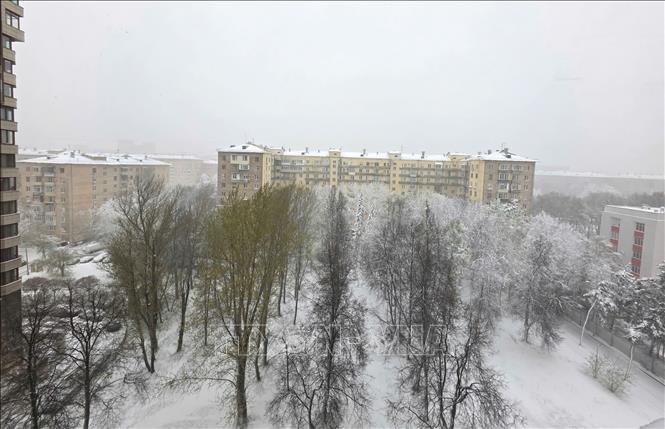 Tuyết tiếp tục rơi mạnh trong sáng 27/4. Ảnh: Trần Hải - PV TTXVN tại Nga 